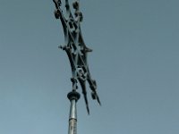 P1170436  Un autre pive