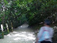 P1170479  Une ombre se promène dans le parc.