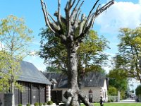 P1170499  le gardien