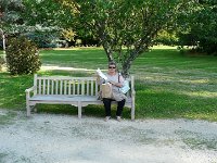 P1170504  il tombe bien