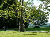 P1170506  les échelles