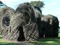 P1170510  le mammouth