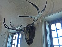 P1170206  Bizarre, je dirais même plus c'est bizarre.