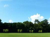 vue4  Voilà, vous connaissez le secret.