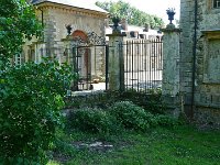 P1160882  tiens des pousses à emprunter