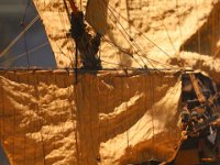 IMG 3527  La toile est terrible