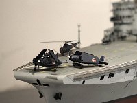 IMG 3557  Je t'emmène sur mes ailes de phalènes