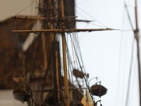 IMG 3573  Au bord de l'étagère