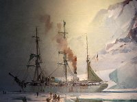 IMG 3596  le grand blanc