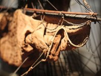 IMG 3603  les cordes