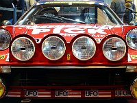 P1160276  cherchez les intrus?