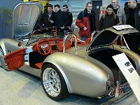 P1160310  petite cobra