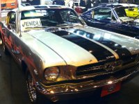 P1160365  un autre cheval