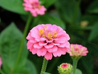 IMG 0374  Toutefois, leur entretien nécessitent un personnel spécialisé et entraînent des frais conséquents