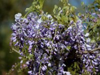 IMG 3611  depuis le mauvais temps est revenu.