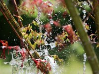 IMG 3627  molécules d'eau