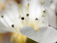 IMG 3630  en appesanteur