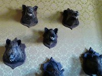 P1170646  et les sangliers