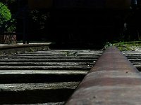 P1170742  La vie du rail.