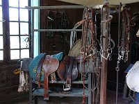 P1170763  les selles