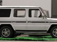 IMG 4072  Elle est longue