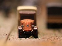 IMG 4086  Un plongeon dans le passé