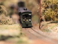 IMG 4088  Il y avait aussi des trains , un régal