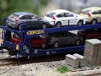 IMG 4179  des citrons