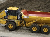 IMG 4301  Belle bête