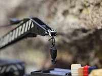 IMG 4308  une grue sur un train