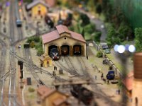 IMG 4323  la bleue est célébre