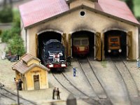 IMG 4325  y en avait plein à l'est