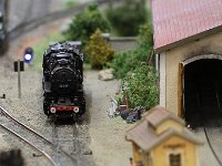 IMG 4393  magnifique