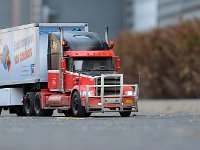 IMG 4427  le long de la haie