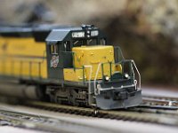 IMG 4597  le chasse boeuf