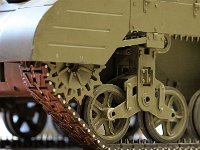 IMG 4236  avec leurs chenilles