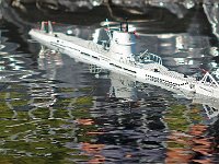 IMG 4448  terrible fatalité