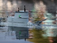 IMG 4452  il va plonger