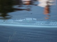 IMG 4454  dans sa chûte