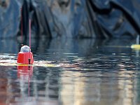 IMG 4465  les copains