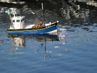 IMG 4468  sans se douter