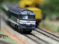 IMG 4481  elle est fine