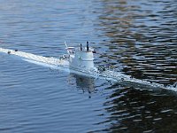 IMG 4498  dans le bassin, invisible