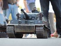 IMG 4506  ils nous observent