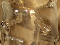 IMG 3326  C&#39;est un pôt à sangsue