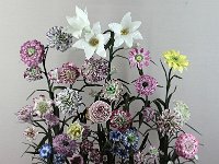 IMG 3359  fleurs des medicis