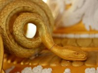 IMG 3382  j&#39;arrive