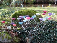 IMG 3436  Nous sommes à Soisy sur école, en Seine & Marne, où on voit de drôles de choses poussés dans le parc.