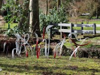 IMG 3437  Des hydres nous saluent