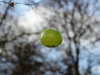 IMG 3440  et ces sphères parodient directX 8 (Nvidia et AMD), pour ceux qui connaissent.